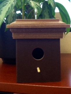 bird house 1